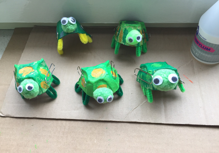 Schildpadjes 12