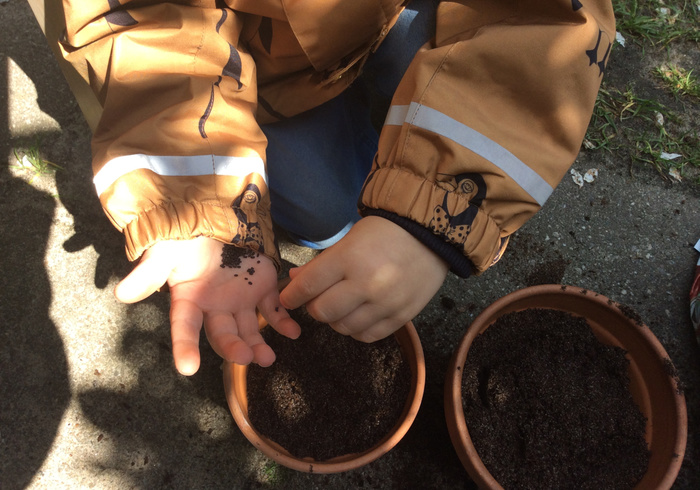 Moestuin 04
