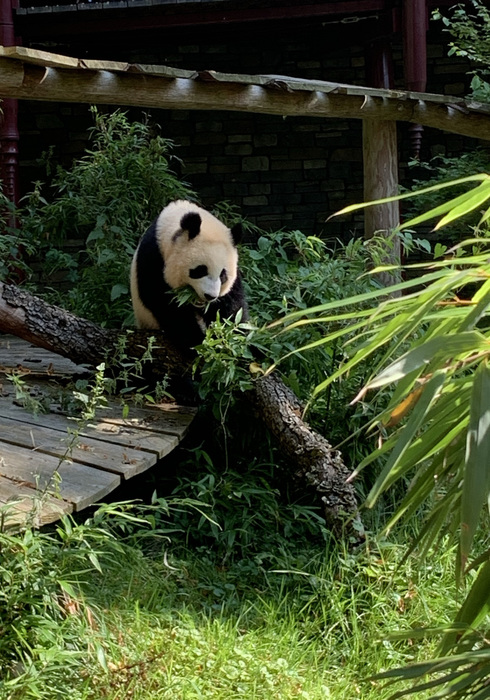 Ouwehands dierenpark 06