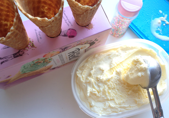 Roomijs ice cream 15