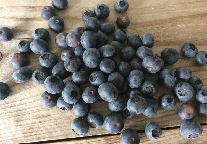 Blueberry muffins side
