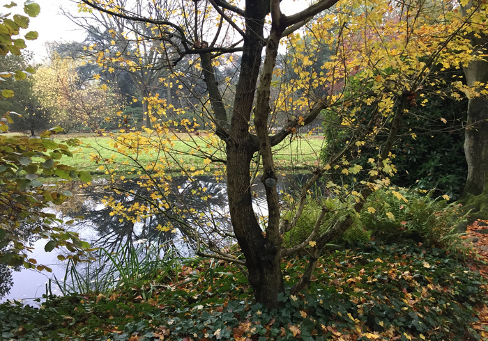 Arboretum trompenburg sidepic