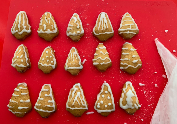 Peperkoek bomen 18