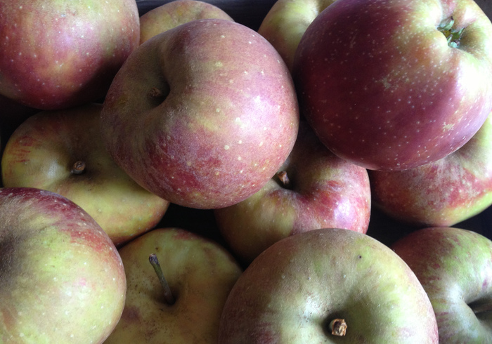 Apple sauce sidepic