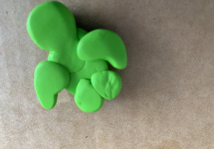 Zeeschildpadjes 18