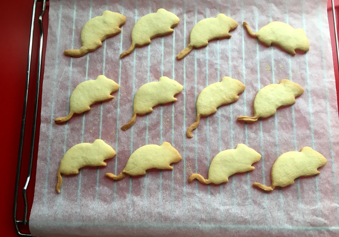 Muizenkoekjes 13