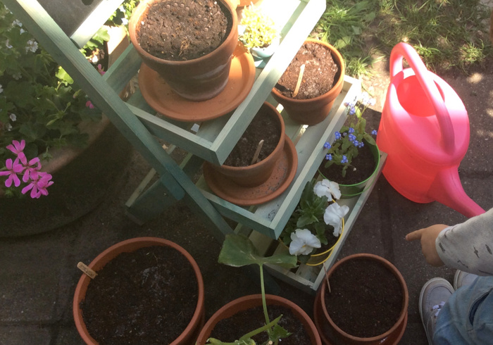 Moestuin 02