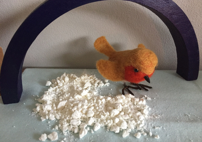 Roodborstje robin home