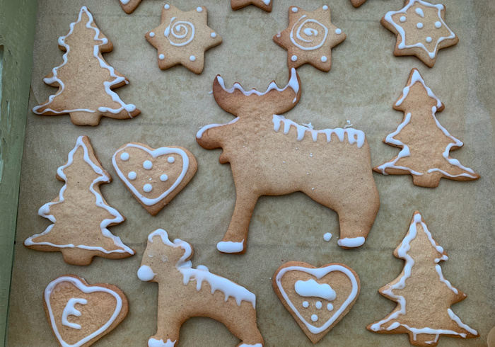 Pepparkakor 21