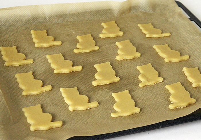 Katten koekjes 2