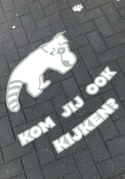 Blijdorp zoo 01