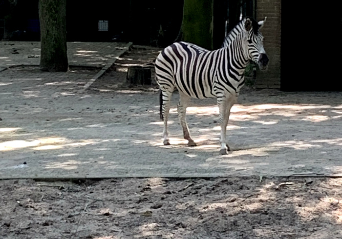 Ouwehands dierenpark 03