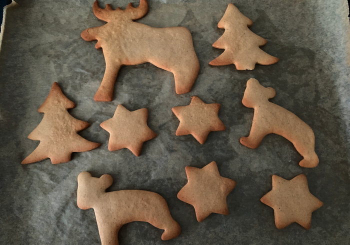 Pepparkakor 17