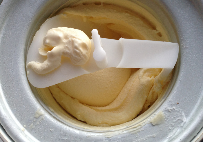 Roomijs ice cream 12
