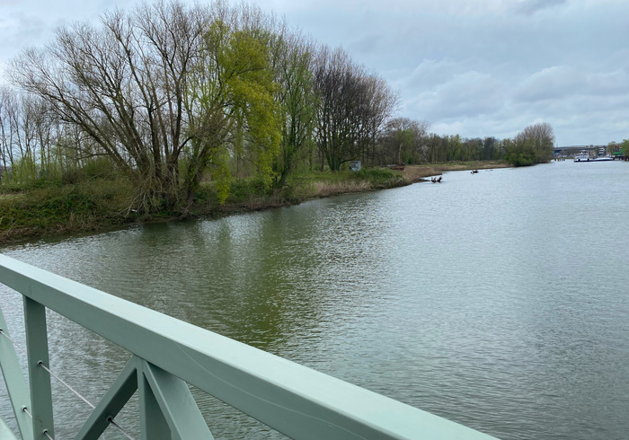 Eiland van brienenoord 06