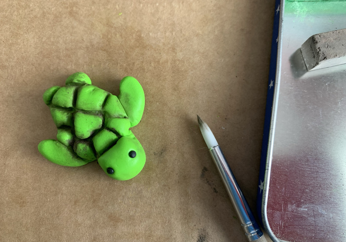Zeeschildpadjes 27