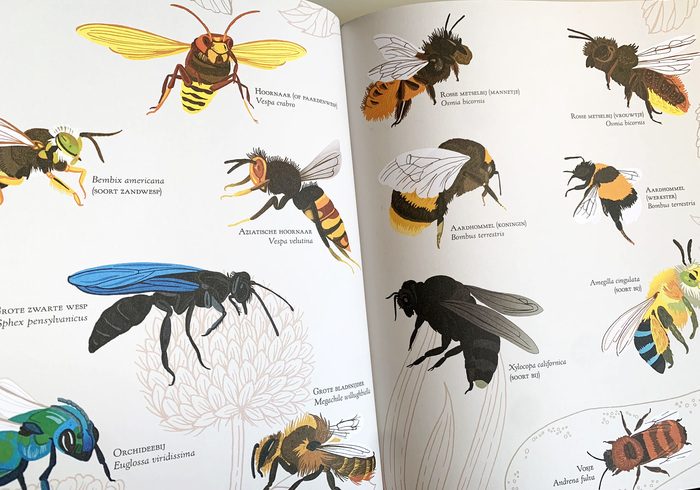 Insectenrijk 02