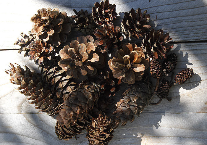 Herfst materiaal 02