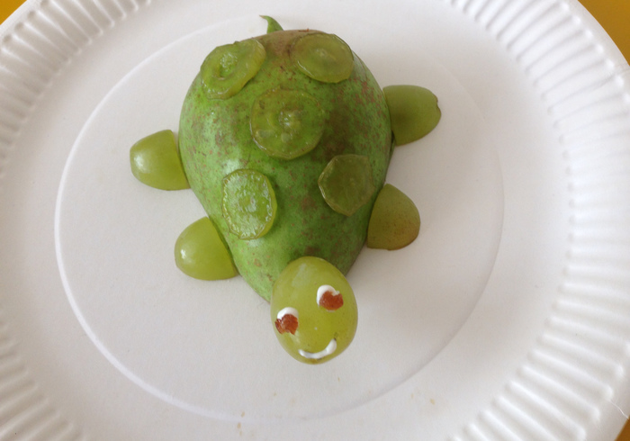 Schildpad home