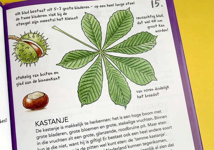 Ik ken al 25 bomen 03