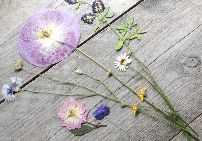 Lantaarn droogbloemen sidepicll