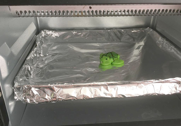 Zeeschildpadjes 30