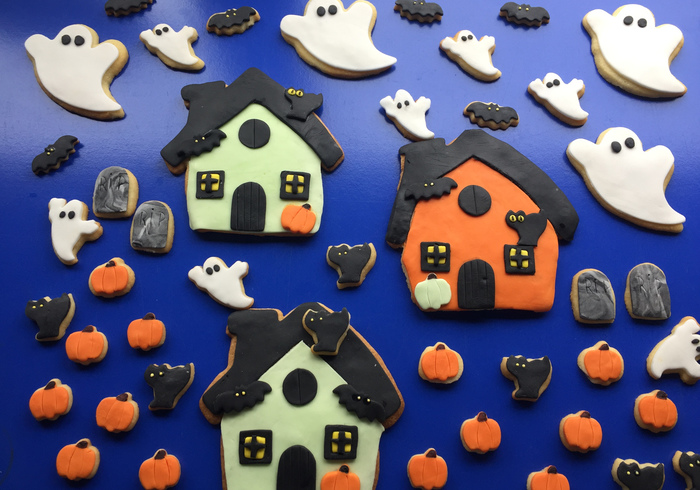 Haunted house biscuits home