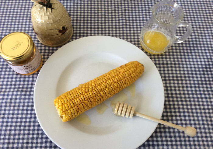 Corncobs home