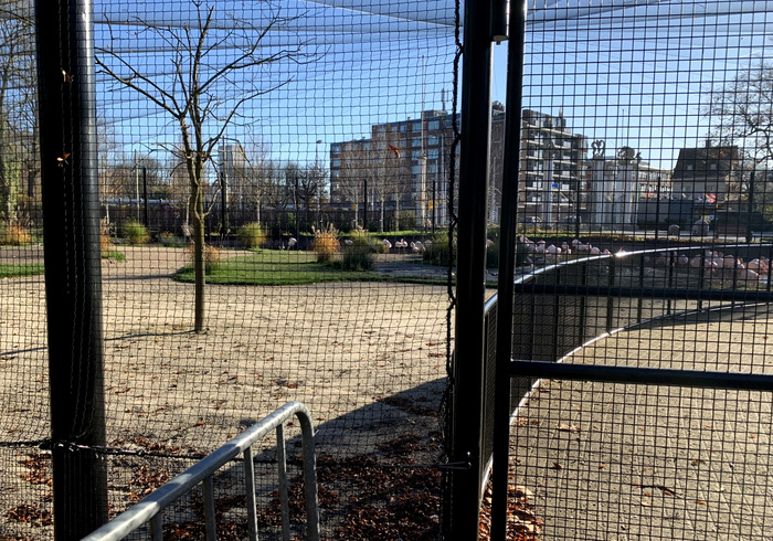 Blijdorp 37