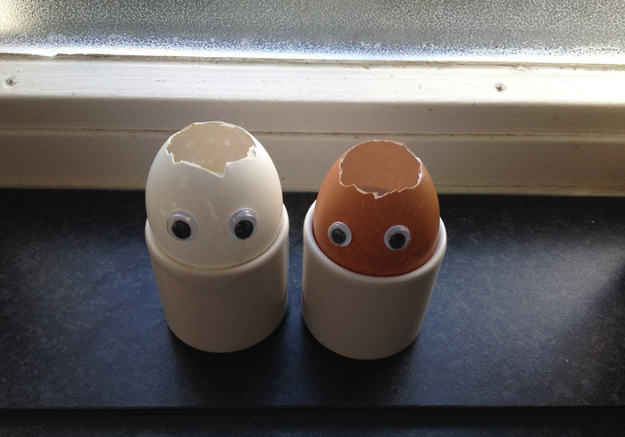 Cress eggs 09