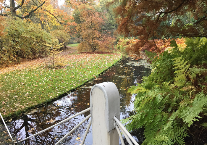 Arboretum trompenburg 05