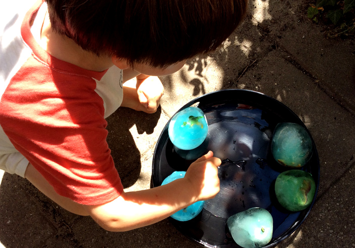 Dinosaur eggs 09