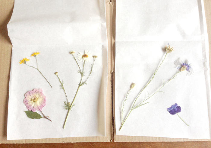 Lantaarn droogbloemen 05