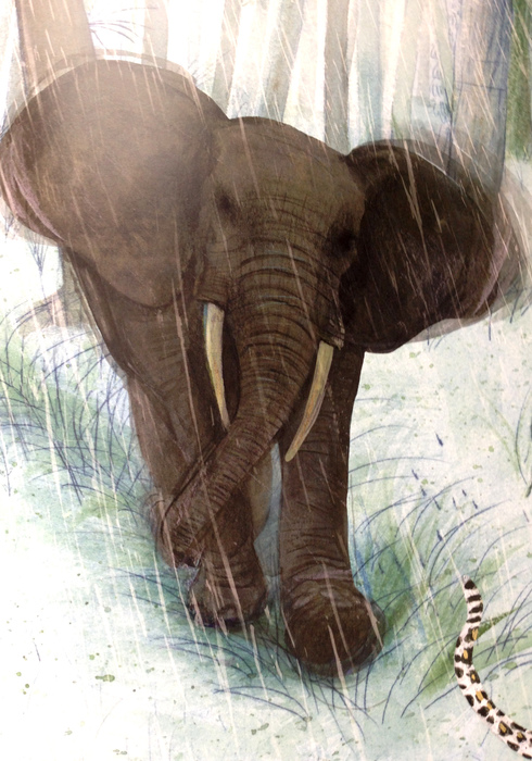 De olifant 03