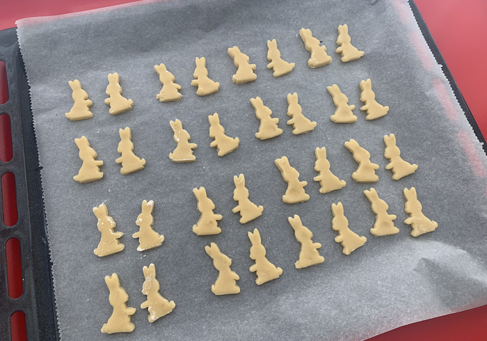 Konijnen koekjes 11