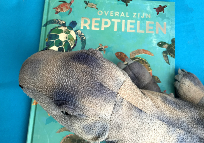 Overal zijn reptielen home