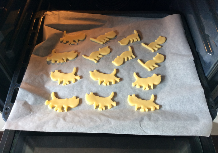 Fiep koekjes 02