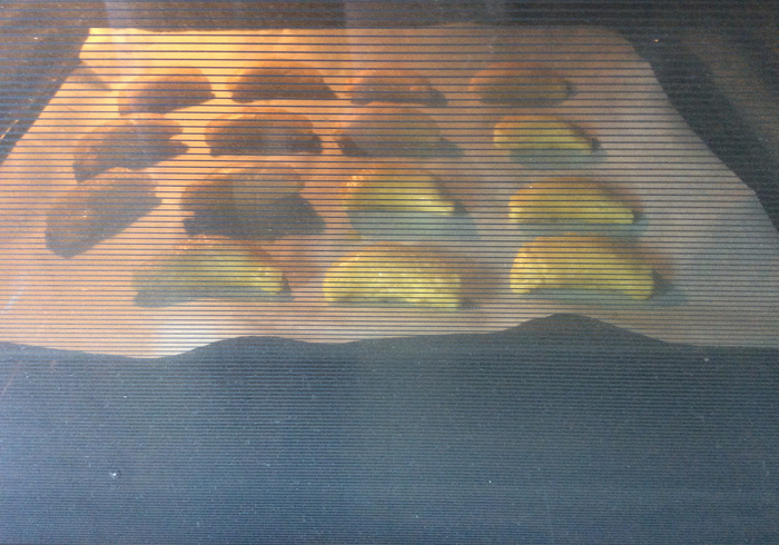 Veggie patties 23