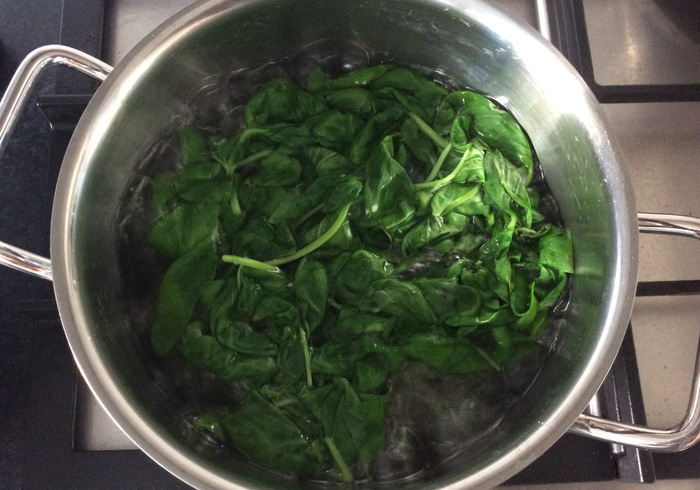 Basilicum pesto 03