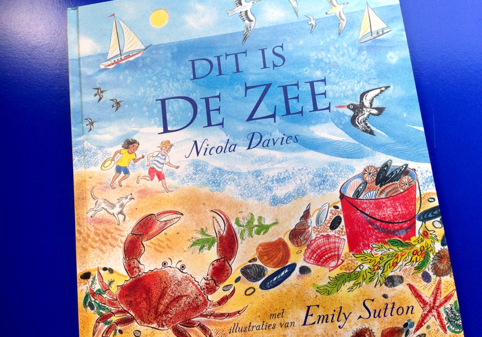 Dit is de zee home