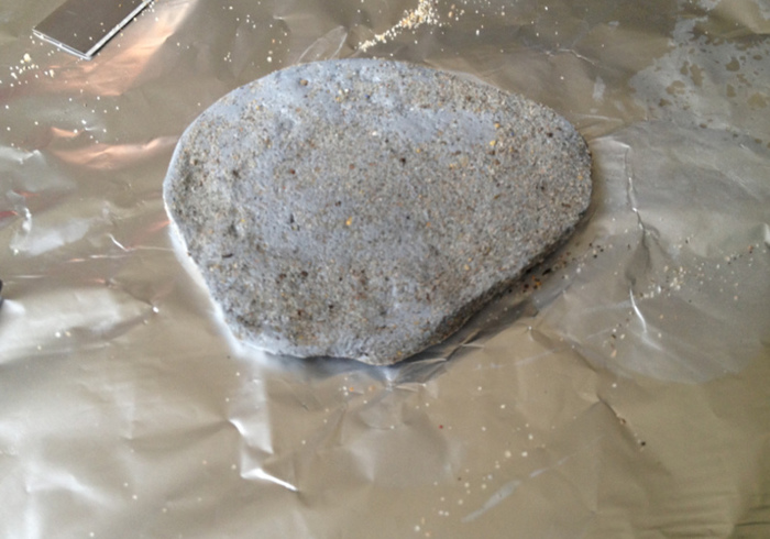 Trilobite 19