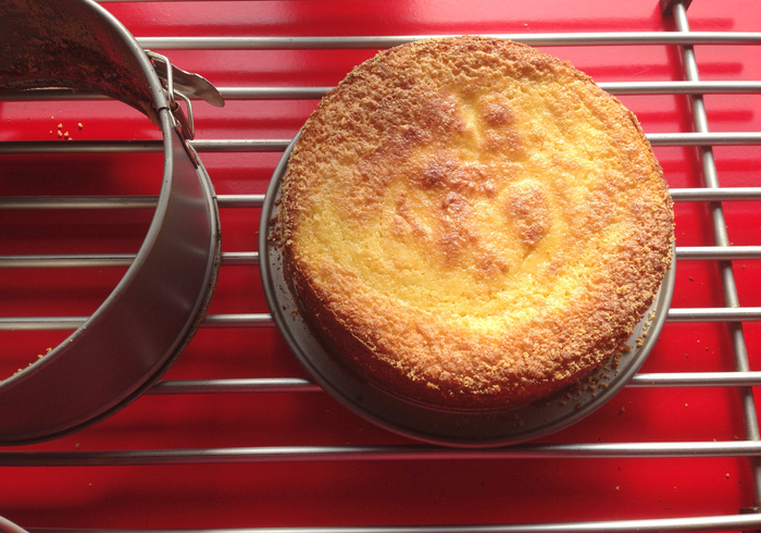 Ricotta cake 12