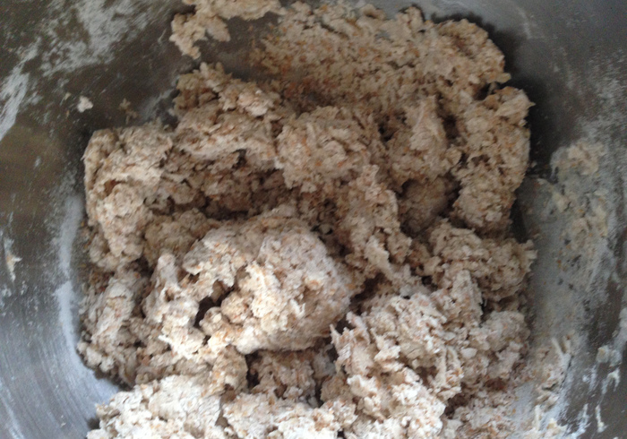 Chapati 04