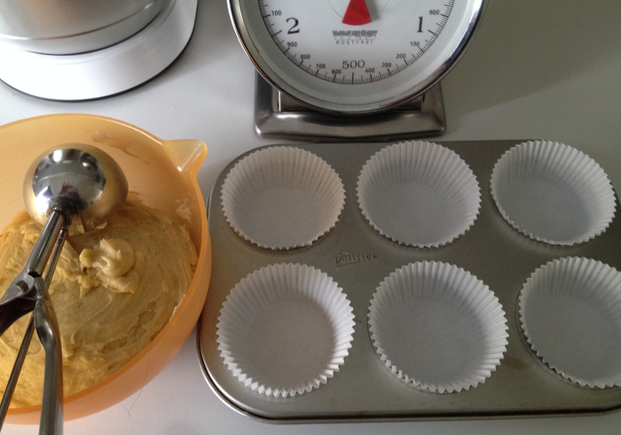 Muffins with blueberry 06