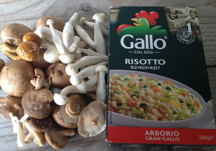 Parmesan mushroom risotto sidel