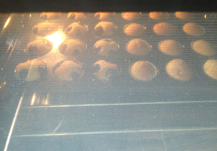 Blueberry muffins 11