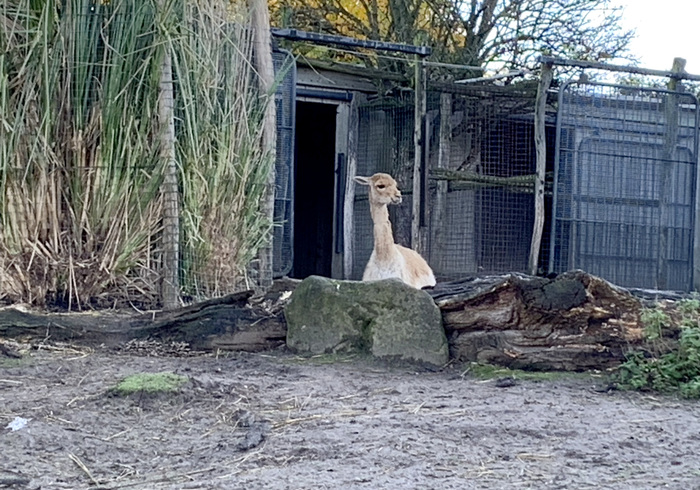 Blijdorp 14