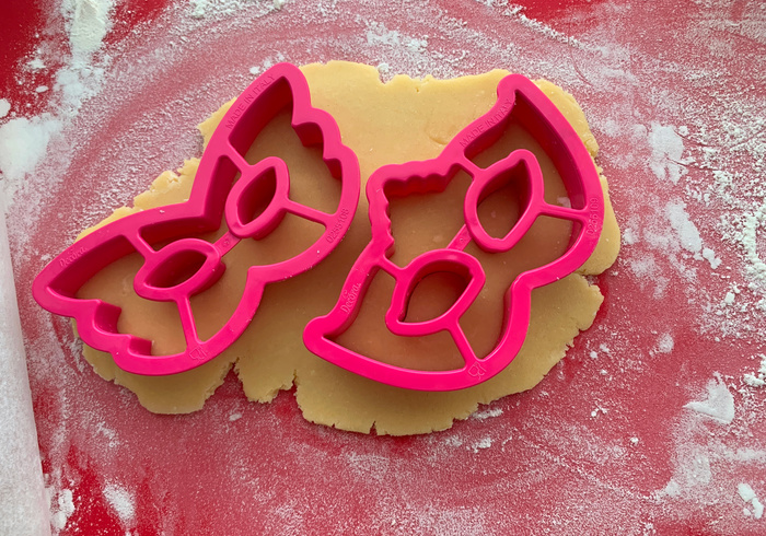 Carnavals koekjes 06