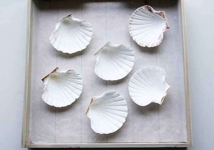 Geodes09