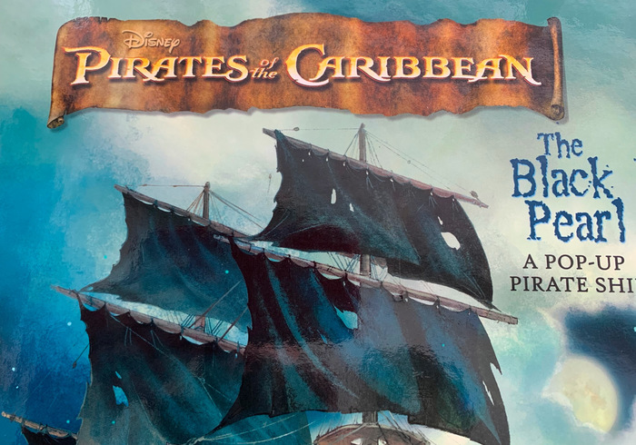 Pirates of the caribbean sidepic